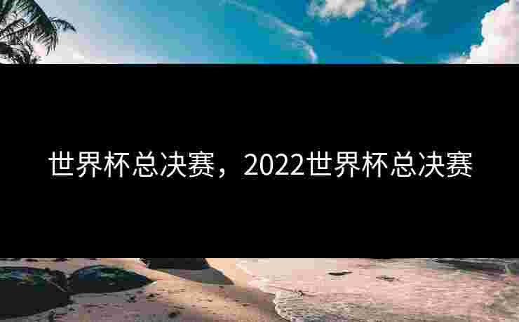 世界杯总决赛，2022世界杯总决赛