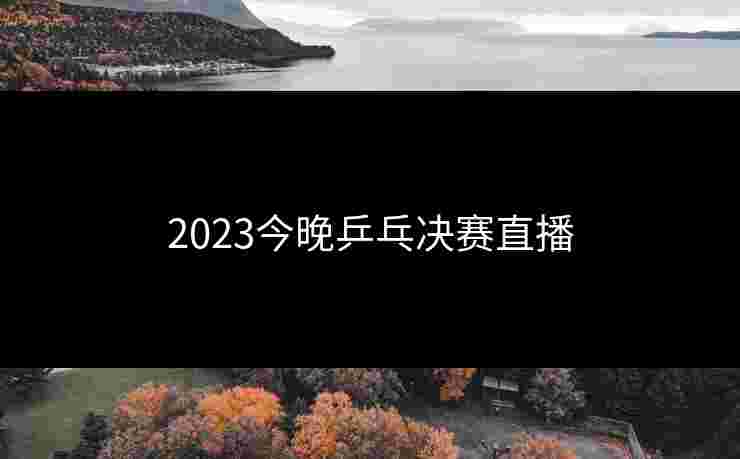 2023今晚乒乓决赛直播